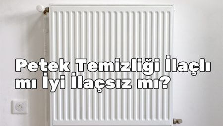 Petek Temizliği İlaçlı mı İyi İlaçsız mı?